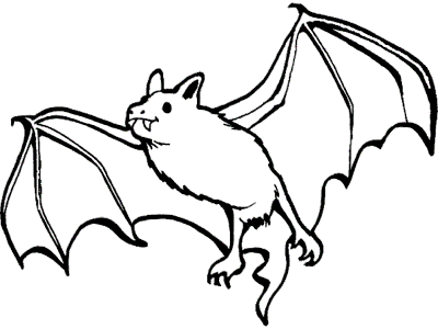 The Ultimate Secret Of Bat Sleeping Coloring Pages - X Y Z Learning