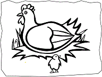 Bird Sits in a Nest Coloring Page Graphic by MyCreativeLife