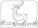 Alphabet Letter D Deer Preschool Lesson Plan Printable Activities and