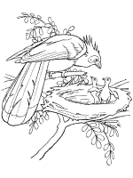 Bird Sits in a Nest Coloring Page Graphic by MyCreativeLife